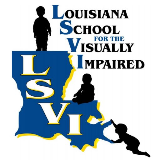 LSVI Logo