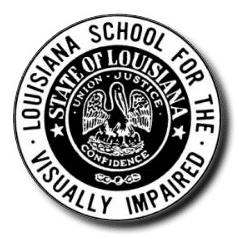 lsvi logo
