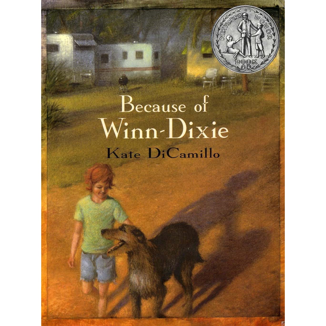 Book cover with a boy and dog