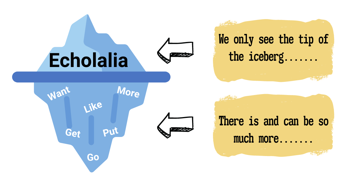 Echolalia: we only see the tip of the ice berg There is and can be so much more while pointing to a graphic of an iceberg