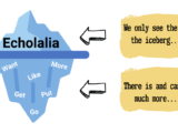 Echolalia: we only see the tip of the ice berg There is and can be so much more while pointing to a graphic of an iceberg