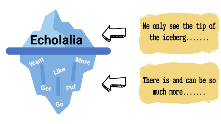 Echolalia: we only see the tip of the ice berg There is and can be so much more while pointing to a graphic of an iceberg